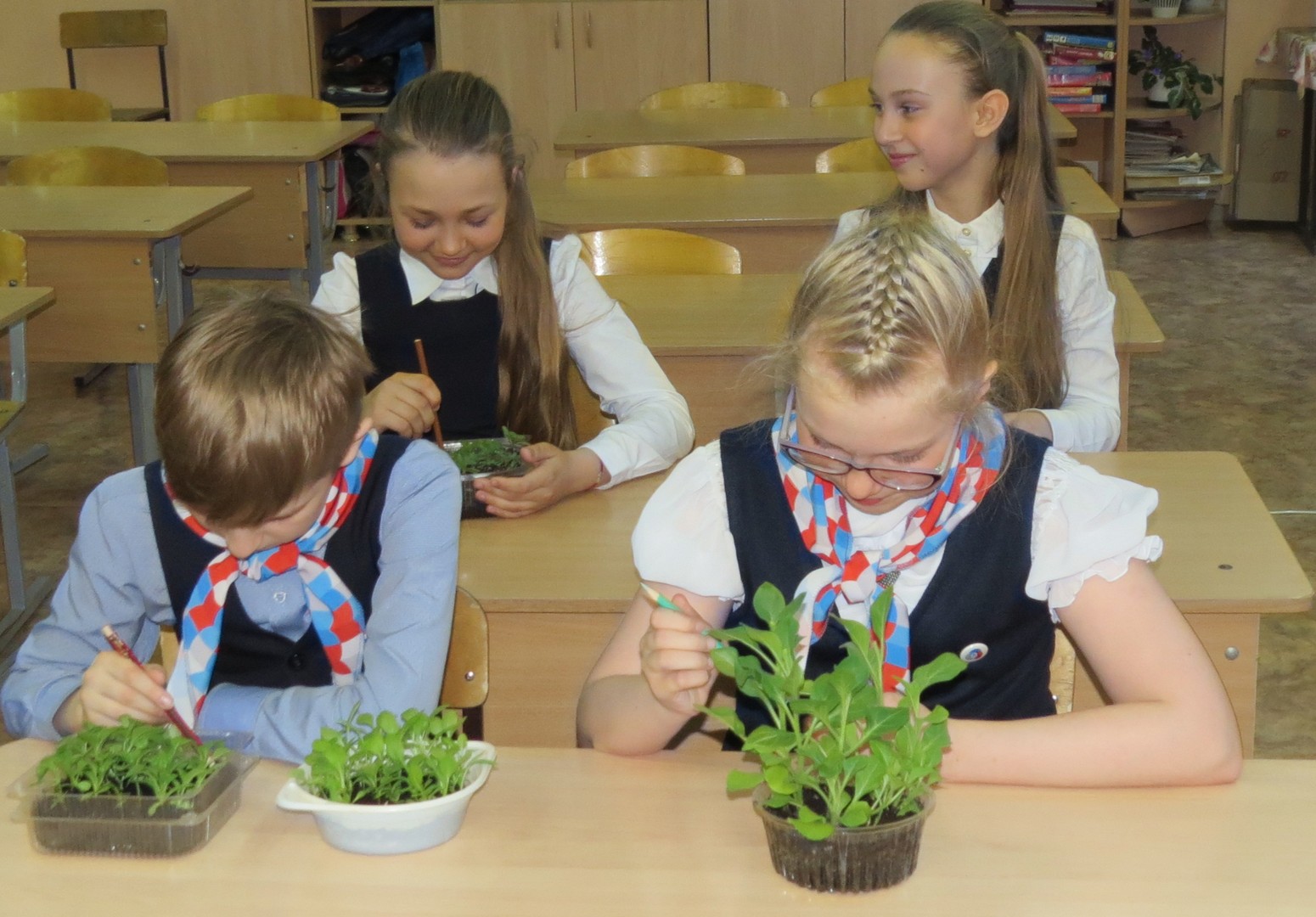 Ученики ухаживали за 2. Школьные растения. Растения в школе. Школьники сажают цветы. Дети в школе с комнатными растениями.