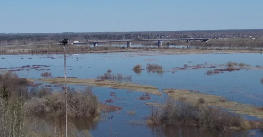 Уровень воды в Вятке понизился ещё на 16 сантиметров