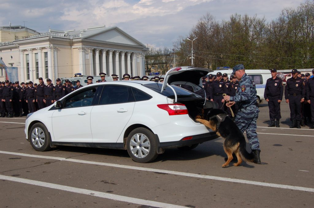 На Театральной площади в Кирове полицейские и росгвардейцы задержали условных преступников