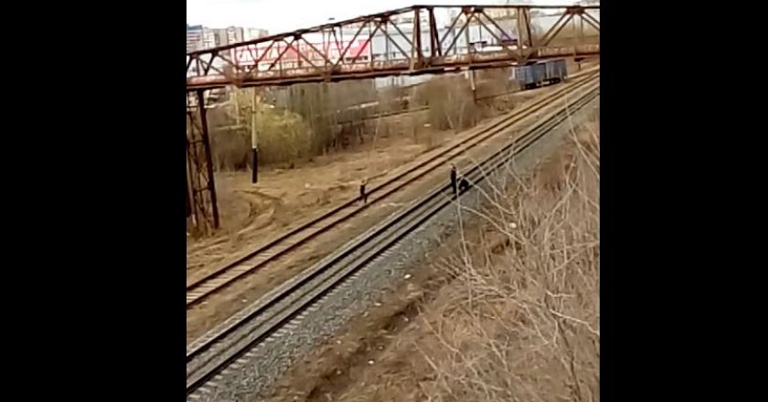 Полиция нашла подростков, качавшихся на верёвке над железной дорогой