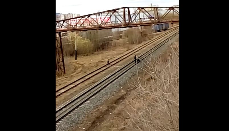 Полиция нашла подростков, качавшихся на верёвке над железной дорогой