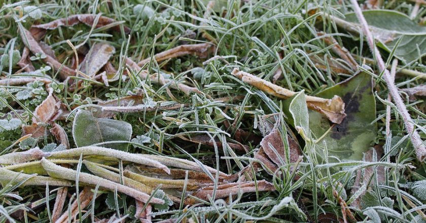 Метеопредупреждение: в Кировской области ожидаются заморозки