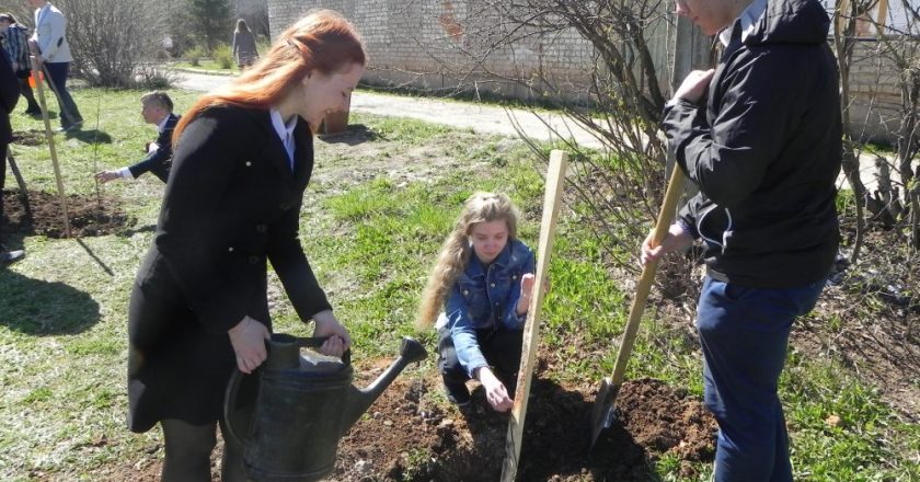 В лицее г.Малмыжа уже стало доброй традицией каждую весну, когда выпускники покидают стены образовательного учреждения, высаживать на память деревья.