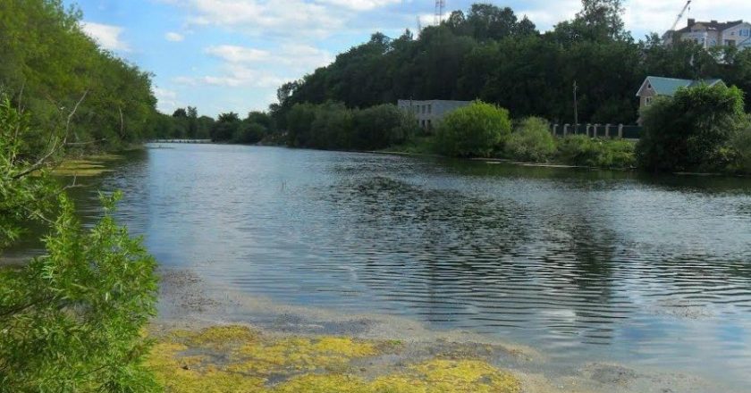В Кирове предлагают создать эко-парк в районе Ежовского комплекса