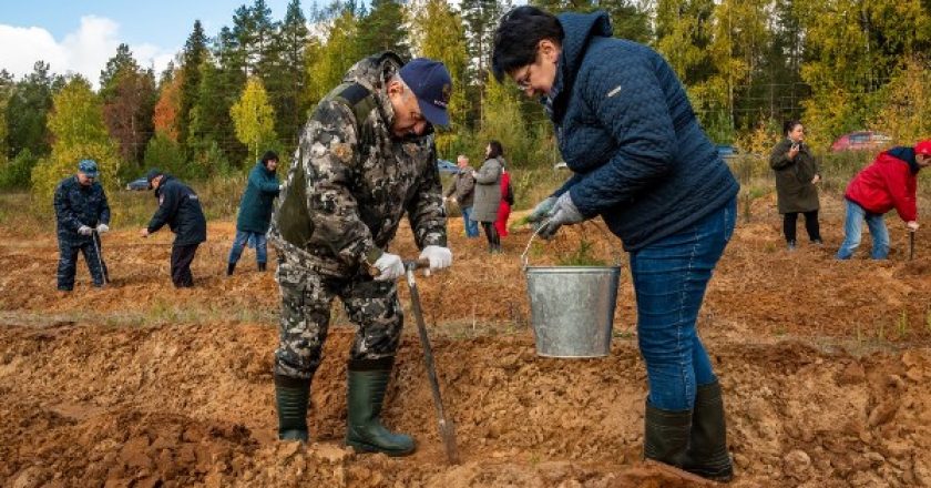 Охрана лесной природы. Живи лес Киров. Охрана лесов. Лесовосстановительные мероприятия. Сохранение лесов.