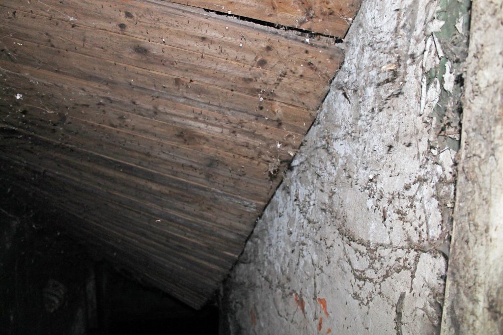 Двухэтажный дом на Северо-Садовой атаковали полчища комаров