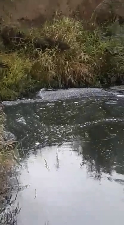 Речку в Котельничском районе убивают стоками