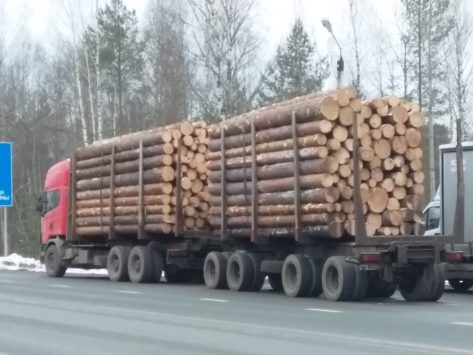 Лесовоз должника из Слободского арестовали прямо на трассе