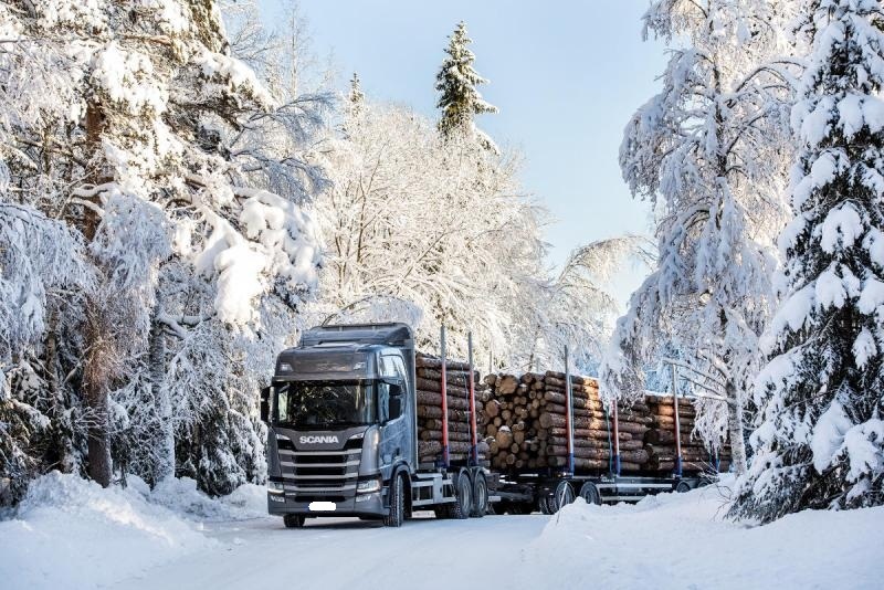 Более ста транспортных средств задержано автоинспекторами по подозрению в незаконной перевозке лесоматериалов в Кировской области