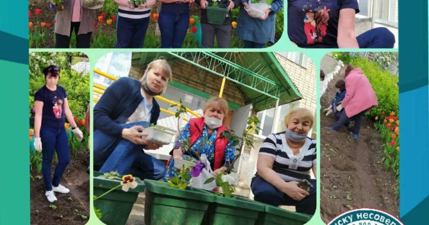 В Кировской области волонтёры высадят цветы