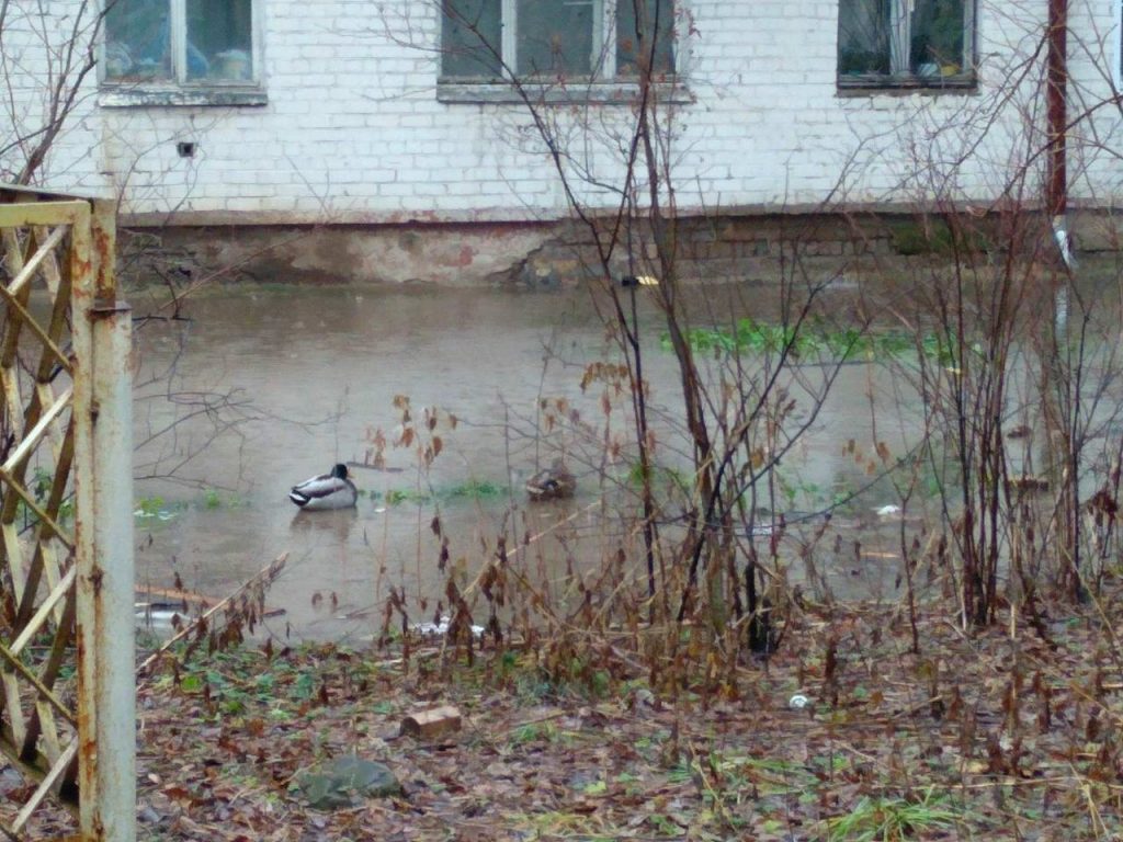 Кировчане неоднократно обращались к городским властям с просьбой решить их проблему. Но в администрации отвечали, что сети находятся на придомовой территории и обслуживать их должны сами жильцы. 