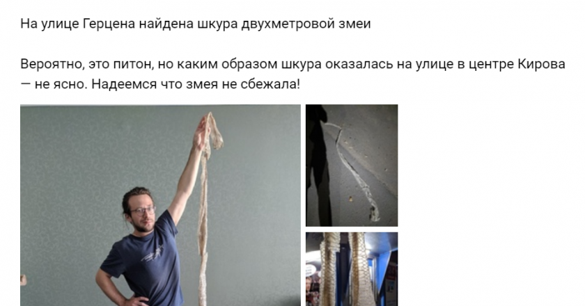 Кировчанин обнаружил на улице шкуру двухметровой змеи