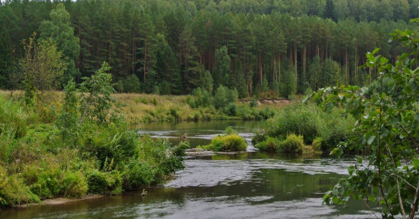 В Кировской области создадут первый национальный парк