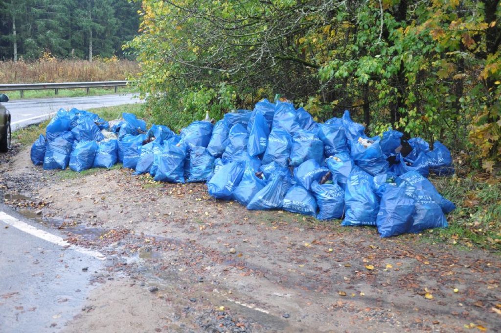В Шабалинском районе после вмешательства прокуратуры ликвидировано 7 несанкционированных свалок бытовых отходов