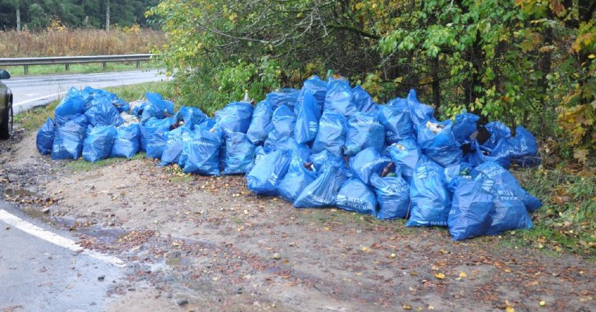 В Шабалинском районе после вмешательства прокуратуры ликвидировано 7 несанкционированных свалок бытовых отходов