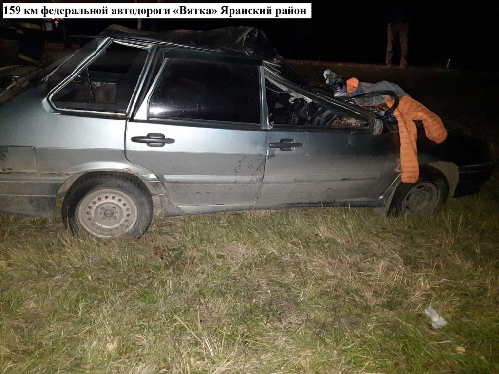 В Кирвоской области в ДТП с лосем пострадал мужчина