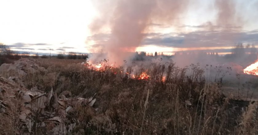Кировские активисты ОНФ призвали надзорные органы оперативно ликвидировать пожароопасную свалку вблизи Котельнича