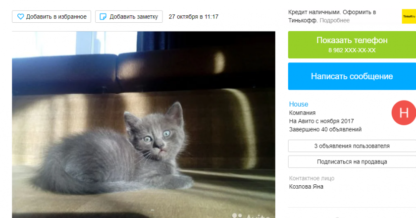 В Кирове продают котенка за 4,5 млн рублей В Кирове на "Авито" продают котёнка за 4,5 млн рублей.