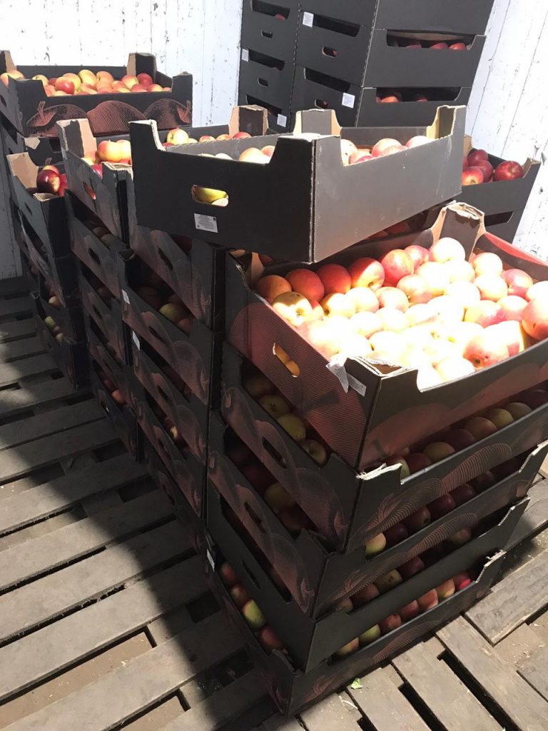 На товар также не было необходимых документов В Кировской области уничтожили более тонны фруктов. Товар изъяли в пятницу, 13 ноября, во время рейда на плодоовощной базе города Кирова (Комсомольская, 12). 