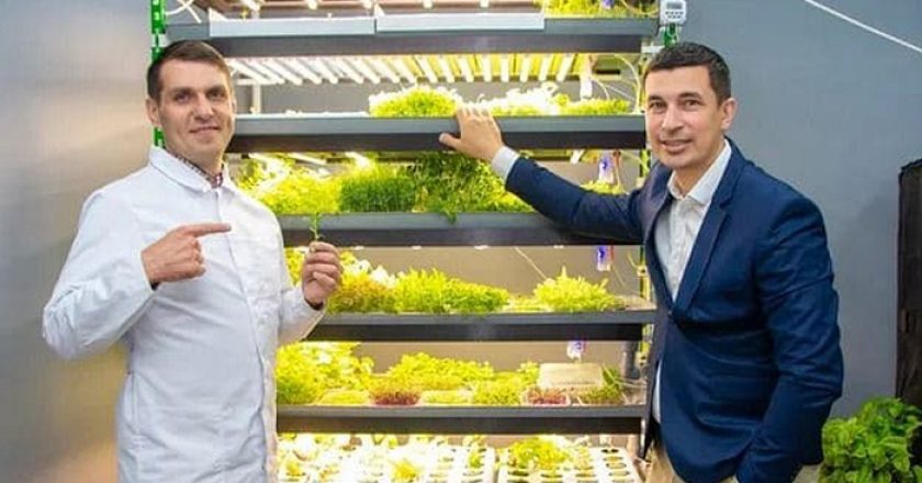 Кировские сити-фермы по выращиванию микрозелени заинтересовали представителей ОАЭ