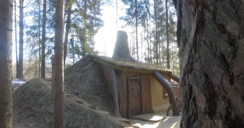 В Кировской области построили хижину Шрэка посреди дендрария