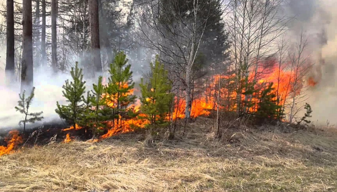 В лесах Кировской области с 11 по 16 мая начался период пожарной опасности 4 класса