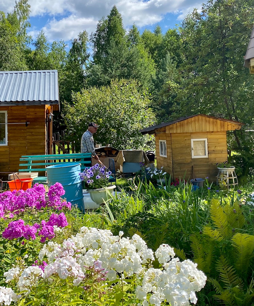 Сады рязань. Дача за каникулы. Новая дача. Фишки дачи за городом. Г Нижнекамск огороды дачи любимый сад.