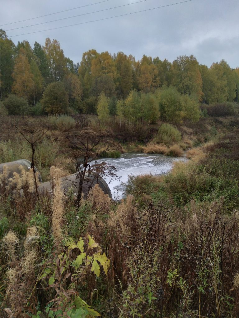 В Котельничском районе реку Куринку превратили в молочный водоем